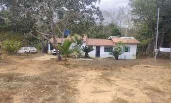 Imagem: SÍTIO À VENDA - 9,6 HECTARES (02 ALQUEIRES