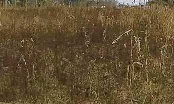 Imagem 6: Terreno Terreno / lote com venda por R$100.000