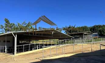 Imagem: Fazenda com 51 alqueires, estrutura para