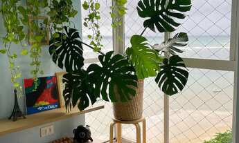 Imagem 2: Apartamento Beira Mar Candeias - Porteira Fechada