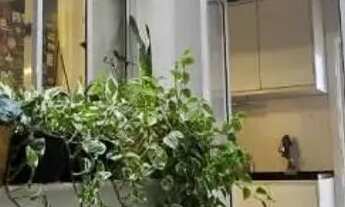 Imagem 5: Casa em Condomínio para Venda em Sorocaba, Parque Campolim, 3 dormitórios, 3 suítes, 5 ban