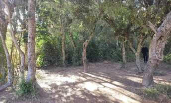 Imagem 6: TERRENO DE 1000M A VENDA EM IBIUNA POR APENAS R$60MIL - ULTIMA SEMANA