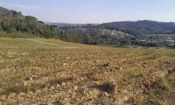Imagem 2: Imóvel para venda tem 500 metros quadrados em Jardim Santa Izabel - Cotia - SP