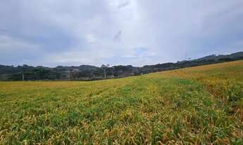 Imagem 5: Chacara com 30.000m² em Campo Magro Ideal para Plantio ou Lazer
