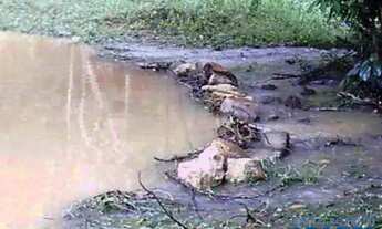 Imagem 5: CHACARA - COUNTRY CLUB - SP