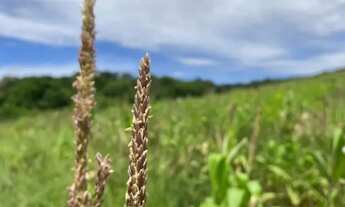 Imagem 2: Ibiúna SP Terreno / lote com venda por R$34.999