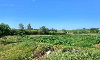 Imagem 4: Sítio Chácara com venda por R$90.000