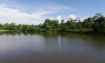 Imagem 3: Fazenda em Gurupi Tocantis