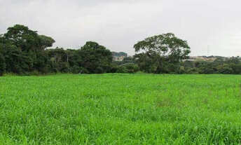 Imagem: Fazenda
