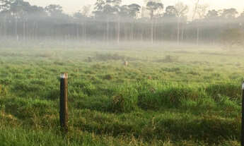 Imagem 2: Fazenda PA Marajó 100 mil hect