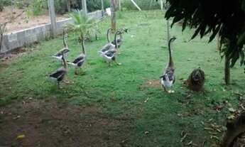 Imagem 3: Lindo sitio de 4.800m², Jaboticatubas (Temos varias opções)