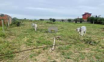 Imagem 6: Imbituba - Terreno Padrão - Campo D'Aviação