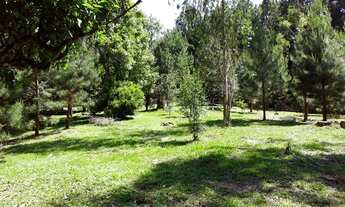 Imagem: Área à venda no bairro Caracol - Canela/RS