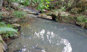 Imagem 6: Chácara em mairipotaba a 80 km de Goiânia com corrego energia chacaras 20.000 metros