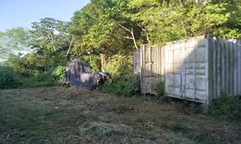 Imagem 6: Terreno c/ 2 frentes-6.785m² -Entrada Cj. Boas Novas acesso Av. das Torres - C. Nova, Mana