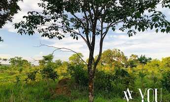 Imagem 6: Bela Vista de Goiás - Conjunto Comercial/Sala - Zona Rural