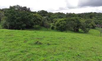 Imagem 4: Terezópolis de Goiás - Chácara