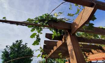 Imagem 6: Vendo excelente sítio Goianá MG. 3 quartos, 3 banheiros, piscina, campo de futebol