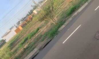 Imagem 4: Terreno Catanduva 10x25 avenida