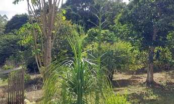 Imagem 6: Chácara de 20mil metros a menos de 2km do asfalto