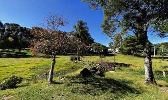 Imagem 2: SÍTIO À VENDA Fazenda / sítio com venda por R$3.200.000