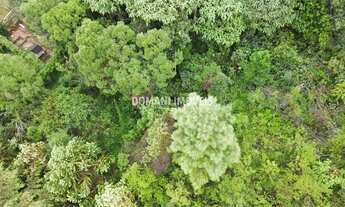Imagem 2: Belo Terreno com Vista à Venda na Região do Atalaia - Campos do Jordão/SP