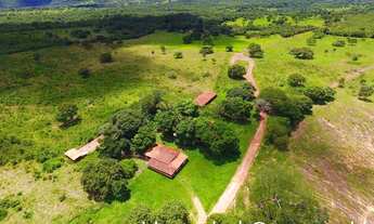 Imagem: Fazenda para Pecuária no Distrito da Guia