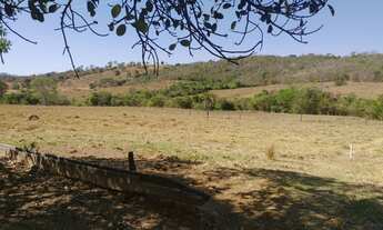 Imagem 3: Chacara no varjão com agua no meio da terra 55 km d Goiânia chacaras de 3 hectares energia