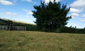Imagem 6: Terreno (121.000m²) em área rural na cidade de Cerquilho - SP