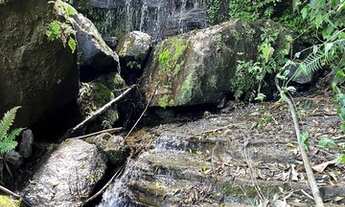 Imagem 7: Sítio/chácara/terreno - 7 hectares - Alfredo Wagner