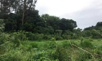 Imagem 4: Jacarei - Terreno Padrão - Jardim Santa Maria