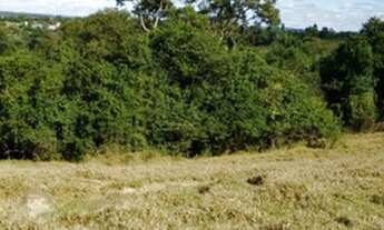 Imagem 7: Terreno (121.000m²) em área rural na cidade de Cerquilho - SP