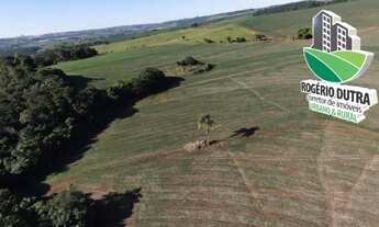 Imagem 6: 8,5 Alqueires a venda em Cornélio Procópio- BR-369
