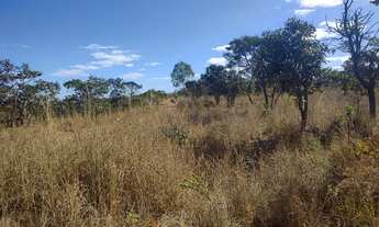 Imagem: Fazenda DF Sobradinho