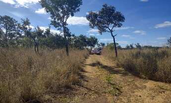 Imagem 4: Fazenda DF Sobradinho