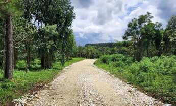 Imagem 7: Chacara belas Áreas Roseira Colombo/ Campina Grande do Sul