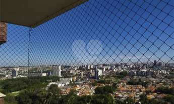 Imagem 3: São Paulo - Apartamento Padrão - CAMPO GRANDE