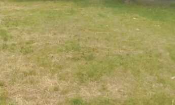 Imagem 4: Galpão 4.000m2 as margens da BR101 (via Duques