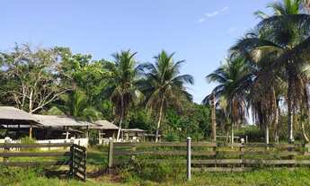 Imagem 7: Sitio no KM 21 - Ramal Pau Rosa - 250 F. 1000 de Fundo