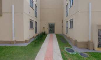 Imagem 3: Apto 2 dormts em Serraria - São José