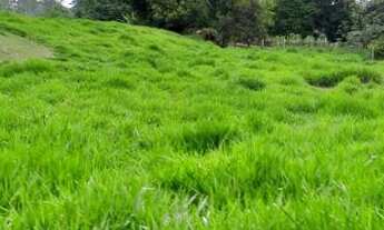 Imagem: Terreno em Papucaia/Cachoeiras de Macacu