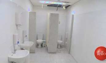 Imagem 7: São Paulo - Prédio Inteiro - Casa Verde