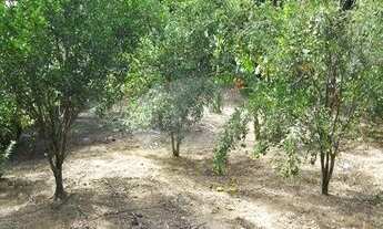 Imagem 4: Terreno - Sousas - Campinas