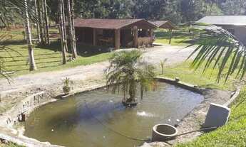 Imagem 6: Chácara em Schroeder I