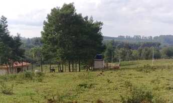 Imagem 4: Sítio com casa rústica nova, 41.100 M² com açude