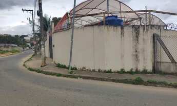 Imagem 3: Alugo lote com estufa para cultivo de flores e plantas