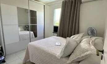 Imagem 6: Palm Ville 75381