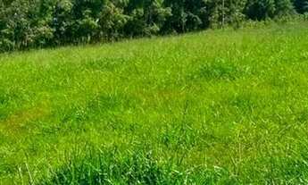 Imagem 5: Chácara 30.000 metros José Bonifácio