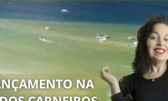 Imagem: Boulevard Praia dos Carneiros