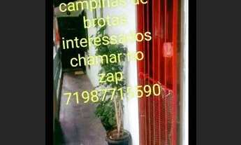 Imagem 6: Casa Brotas Casa com 1 dormitório